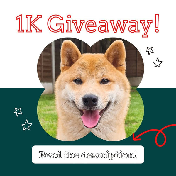 💫Bouboo Dog 1K Global Giveaway!!💫
•
•To...