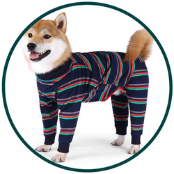 Dog Pyjamas