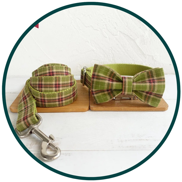 Green Plaid Bowtie Collar and Leash