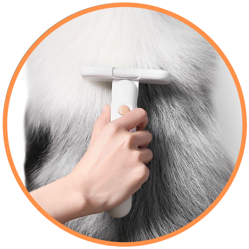 FurMaster 360° Pet Hair Remover