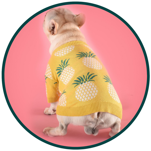Yellow Pineapple Sweater