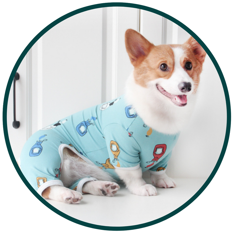 Cosy Pet Pyjamas