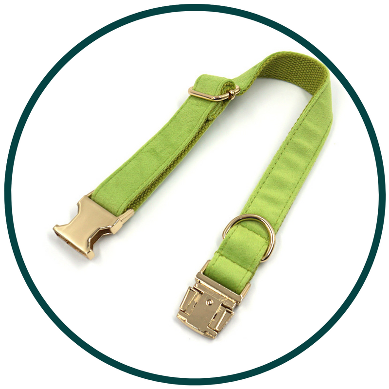 Matcha Green Velvet Collar