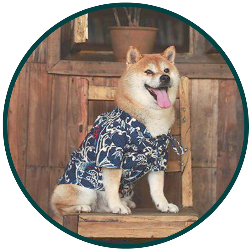 Bouboo Kimono Pet Clothes