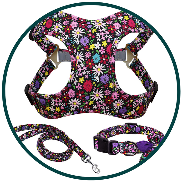 Floral Collar, Leash, and Harness Set