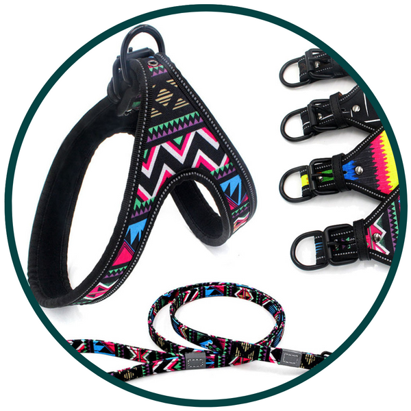 Patterned Harness and Leash