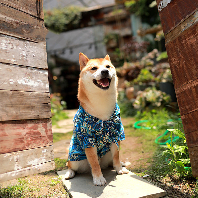 Bouboo Kimono Pet Clothes