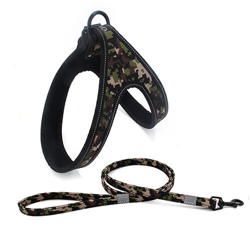 Patterned Harness and Leash