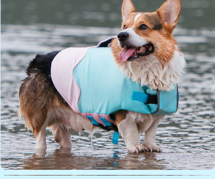 Bouboo All-Season Pet Swimwear