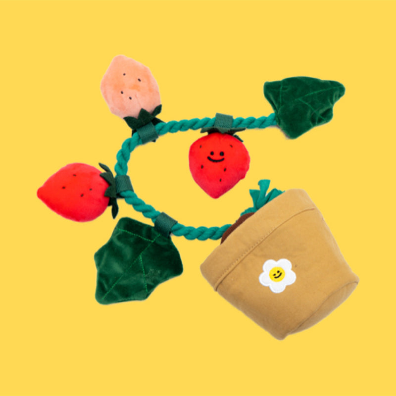 Strawberry Potted Plant Pull Toy