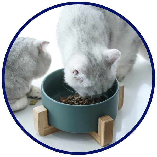 Pet Bowl with Bamboo Stand