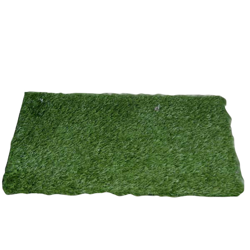 Indoor Grass