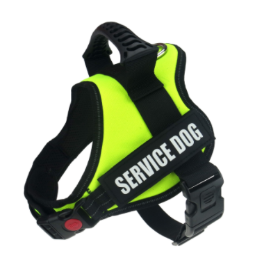 'Service Dog' Harness